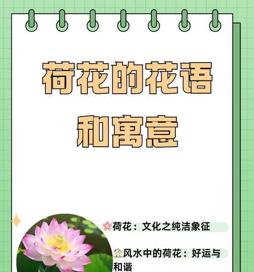 送孩子花的意义和象征是什么？如何选择合适的花朵表达情感？