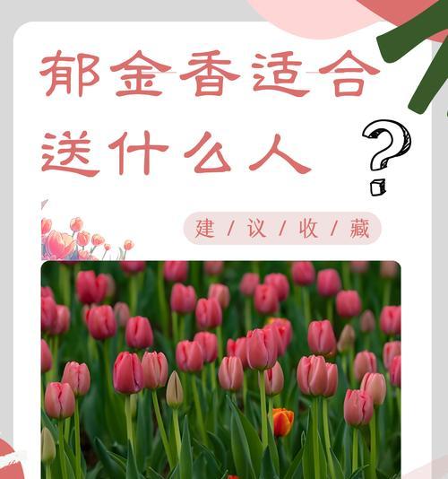 送孩子花的意义和象征是什么？如何选择合适的花朵表达情感？