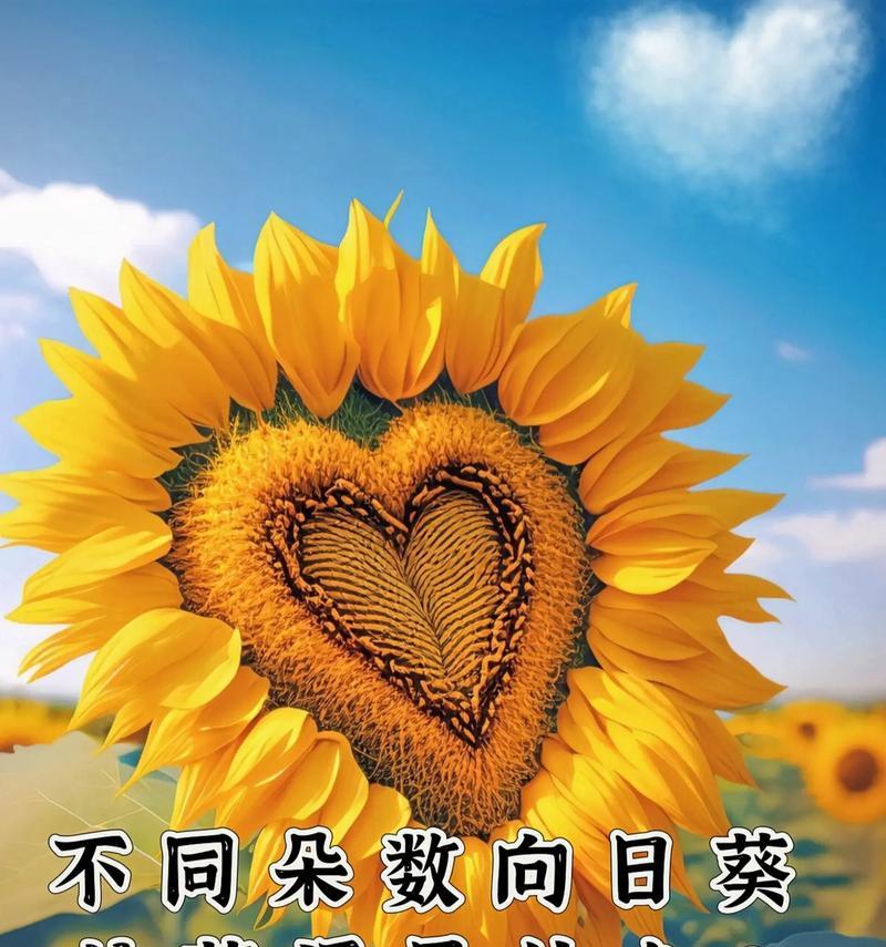古风花加花语是什么？如何解读古风花卉的深层含义？