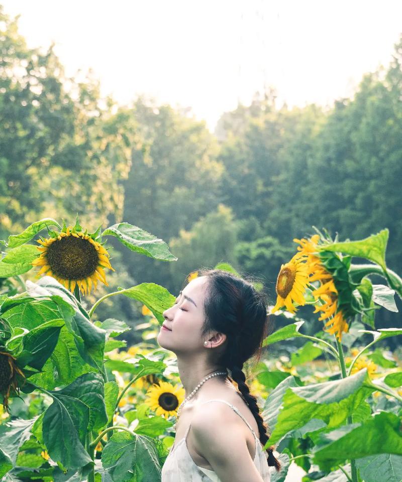 2月20日的花语代表什么？如何选择这一天的花卉礼物？