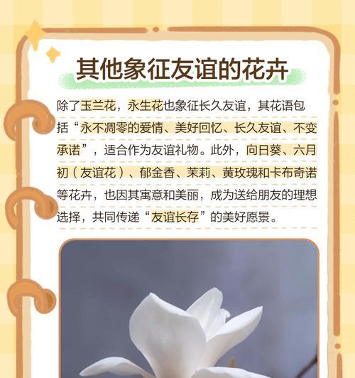 桃花的花语是什么？如何用桃花表达情感？
