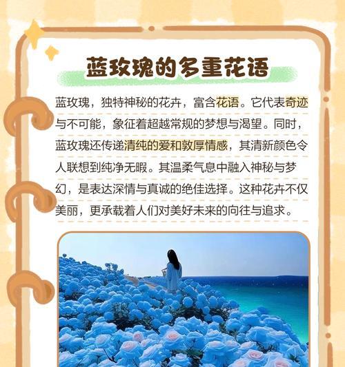 什么花象征着奇迹？揭秘花语背后的奇迹之花