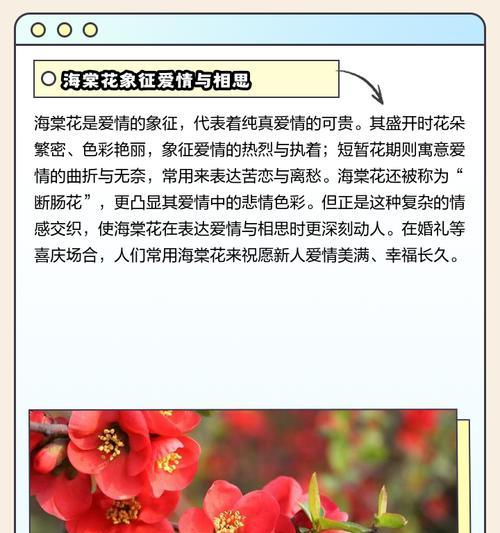 104朵花的寓意是什么意思？花语背后的深层含义是什么？