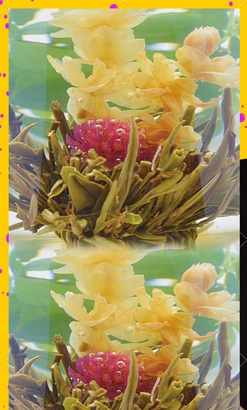 一见钟情的花寓意是什么？如何用花卉表达爱意？