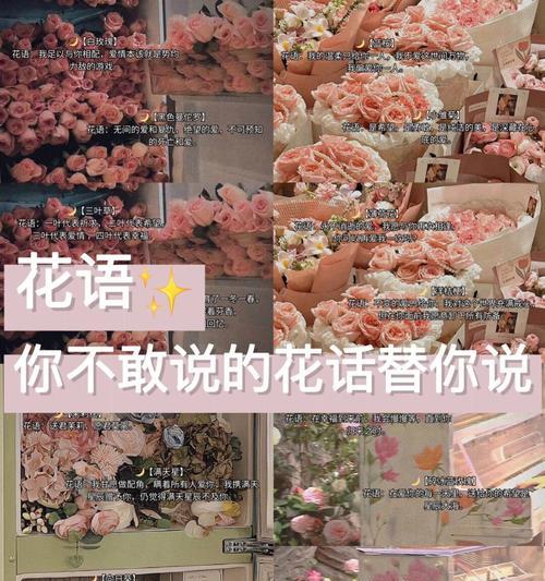 低头道歉花语是什么？如何正确表达歉意？