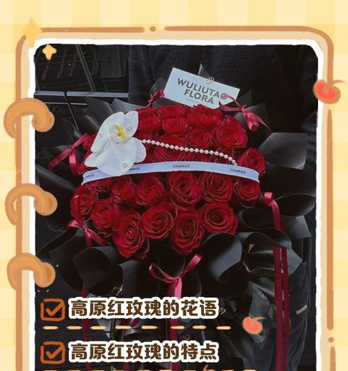 红色玫瑰代表什么含义？花语解读常见问题解答？