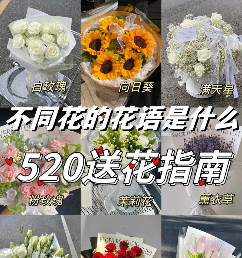 送花时如何选择合适的花语？花语的含义有哪些？