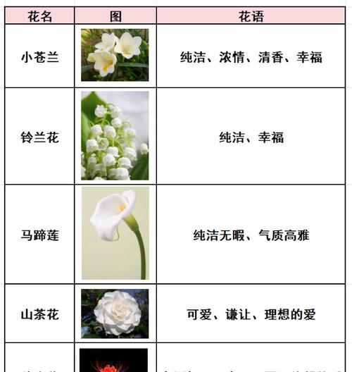 送花时如何选择合适的花语？花语的含义有哪些？