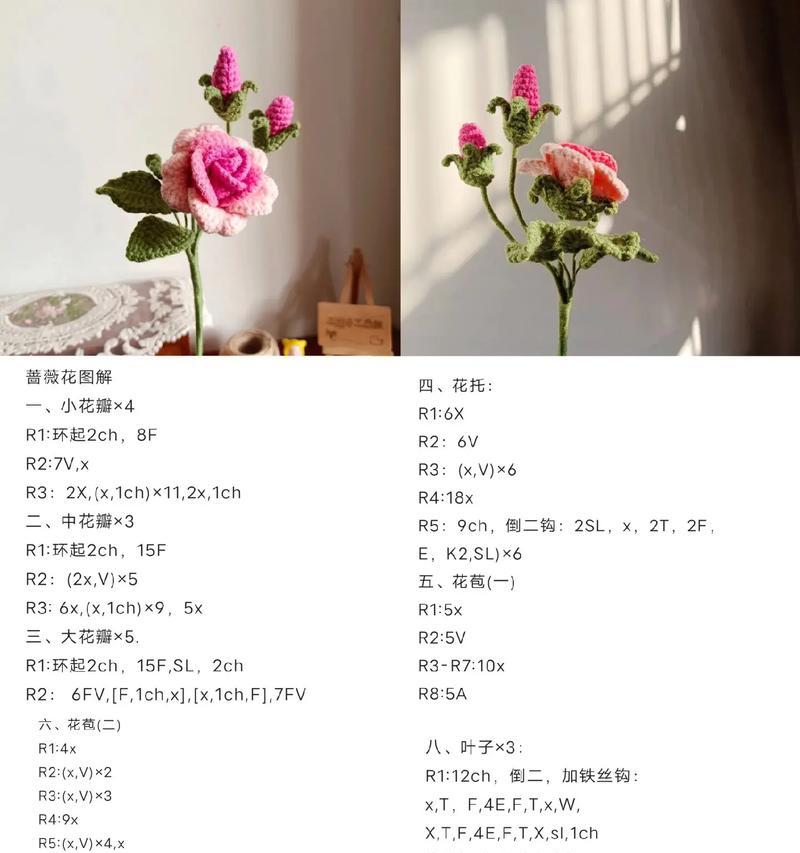 蔷薇花的寓意是什么？为什么会有不好的含义？