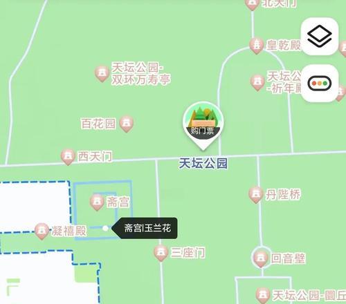 天坛花的寓意是什么？了解天坛花背后的文化含义？