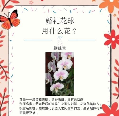 玫瑰相框花语是什么？如何挑选合适的花语相框？