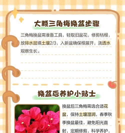 三角梅在土里种植的最佳方法是什么？