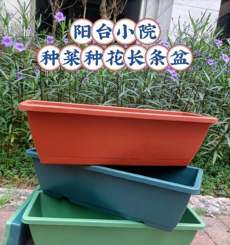 阳台种菜盆土适合养哪些花？