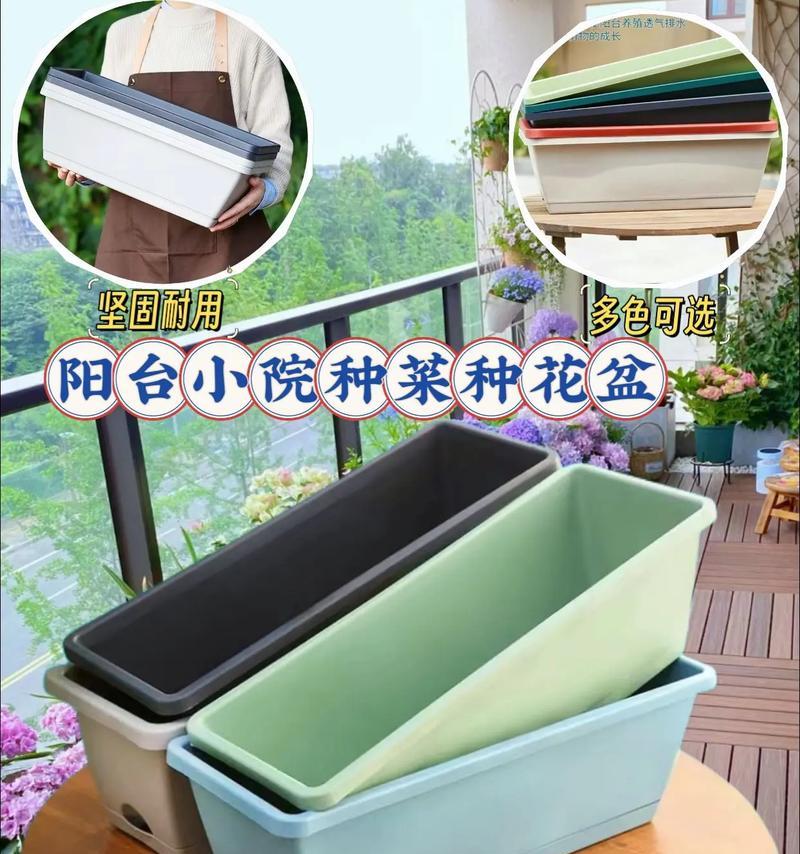 阳台种菜盆土适合养哪些花？