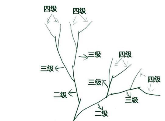 月季剪枝插活的正确方法是什么？