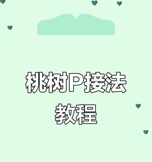 嫁接与栽培技术有哪些？如何提高植物成活率？