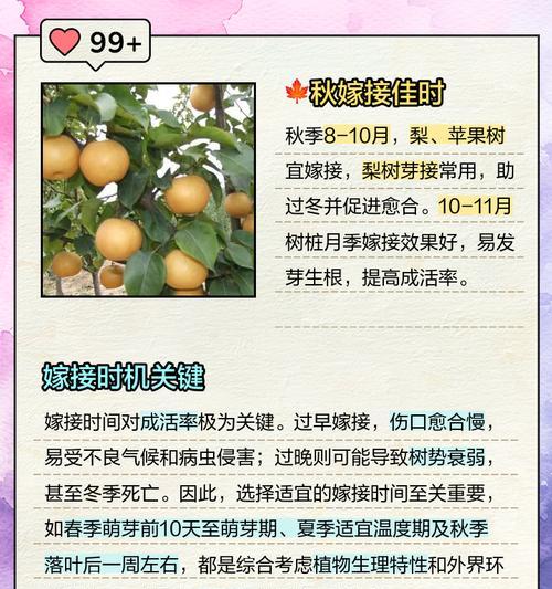 嫁接与栽培技术有哪些？如何提高植物成活率？