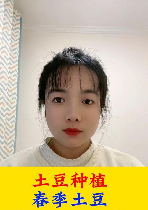 云南早土豆的最佳播种时间是什么时候？