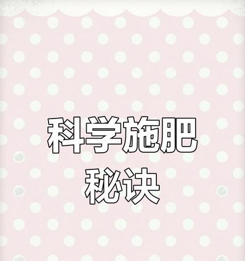 高效施肥技巧有哪些呢？如何科学施肥提高产量？