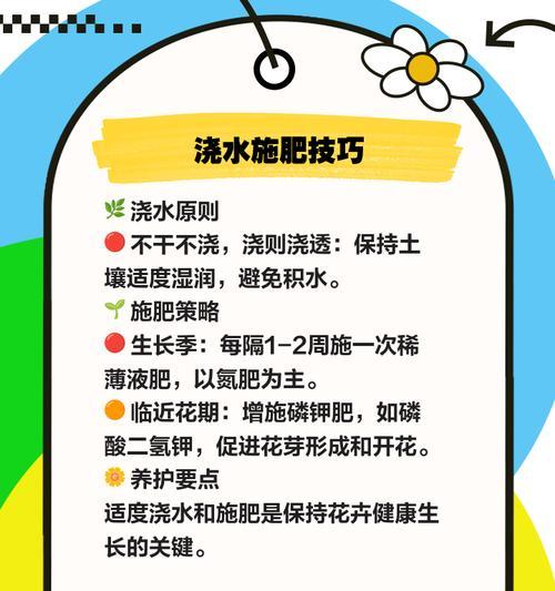 水培三角梅长绿苔了怎么办？如何有效清理和预防？