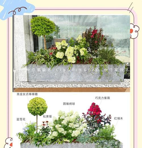 河北露台花卉种植的正确方法是什么？