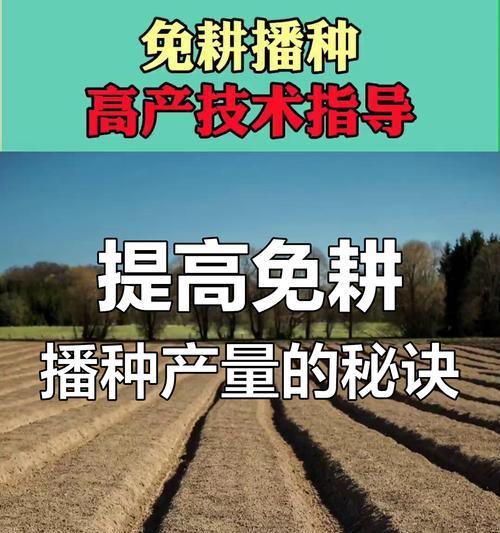 间歇播种是什么意思？作物播种技巧有哪些？