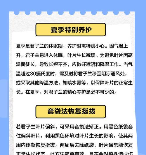君子兰叶片的异常表现预示着什么问题？如何解决？