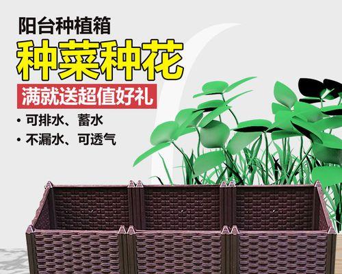 秋黄瓜叶子发黄枯萎怎么办？有效补救措施是什么？