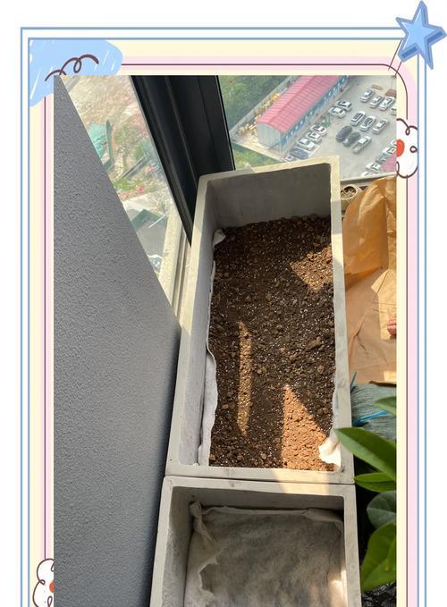 喷瓜栽培技术有哪些不同种类？