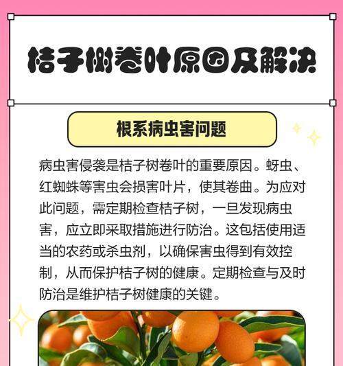桔子树结果时叶子发黄掉叶怎么办？如何处理以保证果实质量？