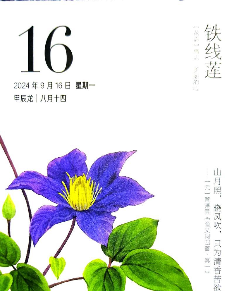 铁线莲属的拉丁文名如何正确发音？