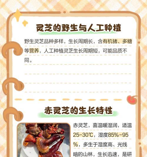 灵芝高效栽培的技术规程包括哪些内容？
