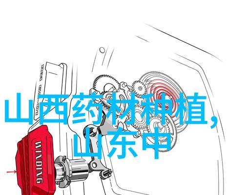 灵芝高效栽培的技术规程包括哪些内容？