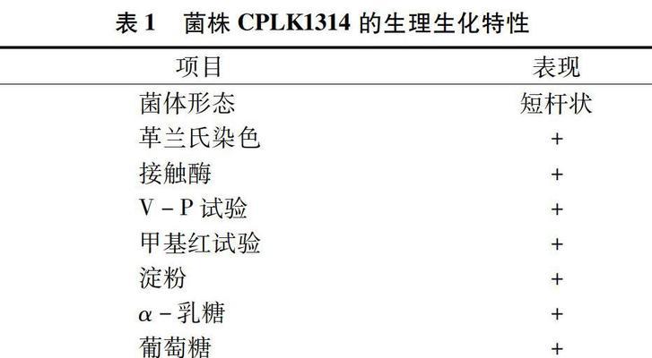 禾杆菌栽培技术的步骤是什么？