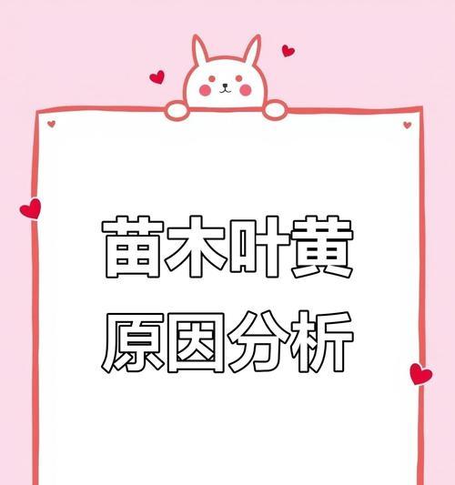树苗叶子发黄的可能原因有哪些？