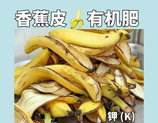 香蕉皮如何自制花肥？