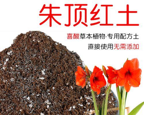 自制朱顶红土壤肥料的方法是什么？