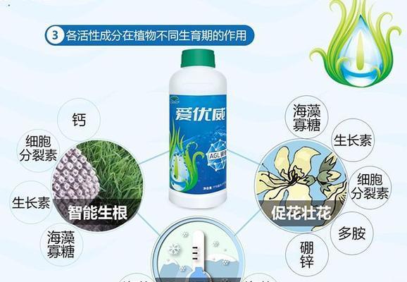 养苗叶子发黄的原因及解决办法是什么？