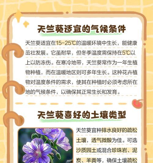 天竺葵的最佳通风条件是什么？如何通过通风改善天竺葵的生长环境？