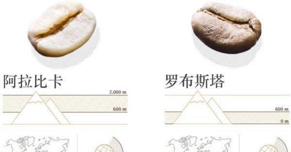 西方栽培技术特点及应用是什么？
