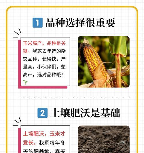 什么天气播种玉米比较好？播种玉米的最佳时间是什么时候？