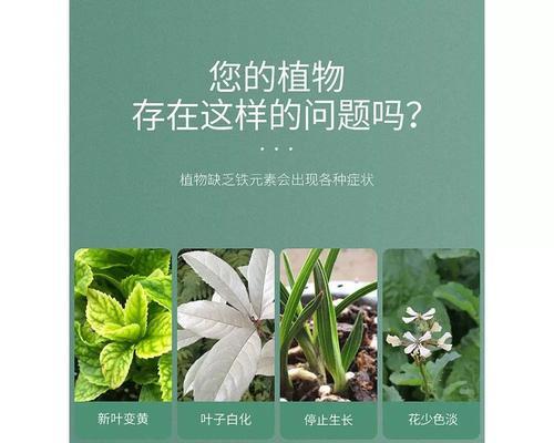 如何自制弱酸性植物水溶肥料？有哪些步骤和材料？