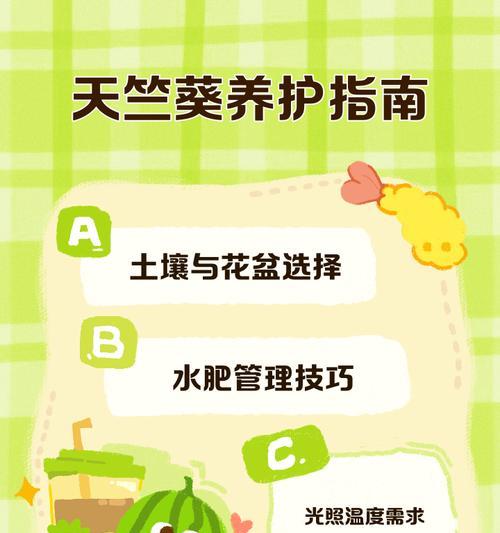 大盆天竺葵的养护方法是什么？