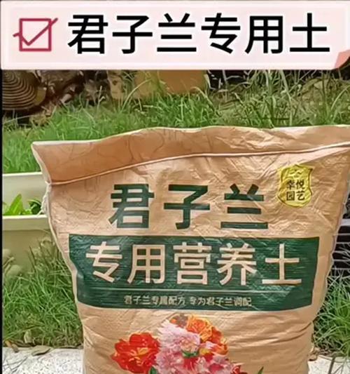 君子兰适合使用哪种农家肥？