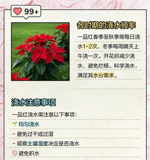 抗旱正确浇水方法是什么？如何在干旱条件下正确浇水？
