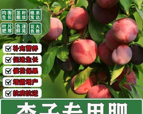 石子自制肥料的配方有哪些？