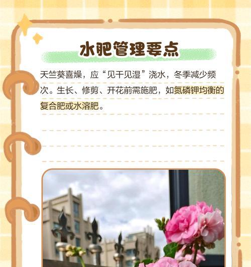 天竺葵复合肥补救法如何操作？