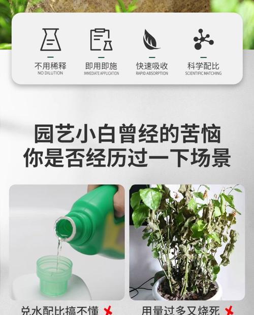 自制环保液体肥料的方法是什么？