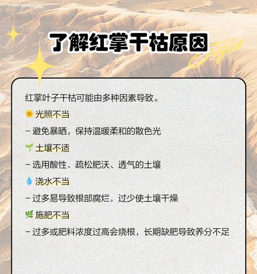 红掌叶子受伤地方发黄怎么办？如何进行有效的修复和养护？