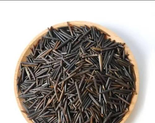 菰是否为北美原生植物及其原因？